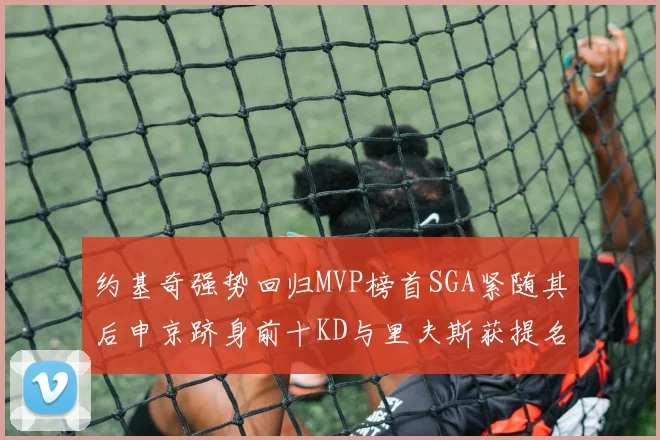 约基奇强势回归MVP榜首SGA紧随其后申京跻身前十KD与里夫斯获提名