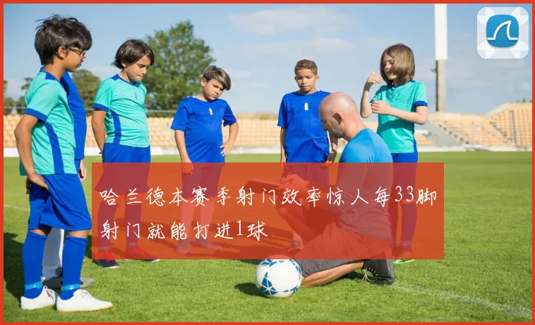 哈兰德本赛季射门效率惊人每33脚射门就能打进1球