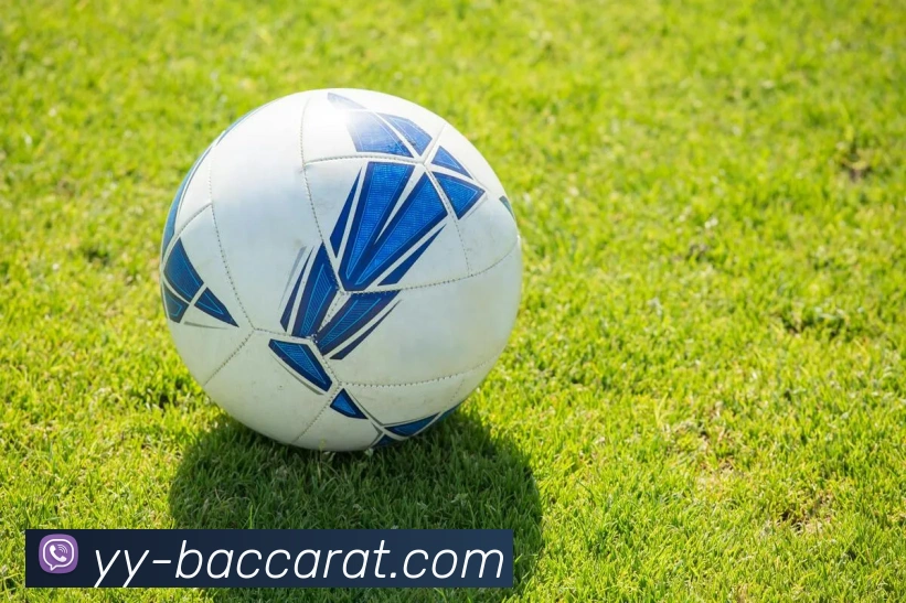 百家乐网站平台生态图